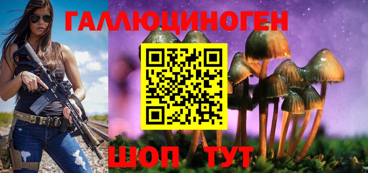 Котельники  где найти наркотики  Галлюциногенные грибы GOLDEN TEACHER  Вход с VPN  Галлюциногенные грибы Cubensis 