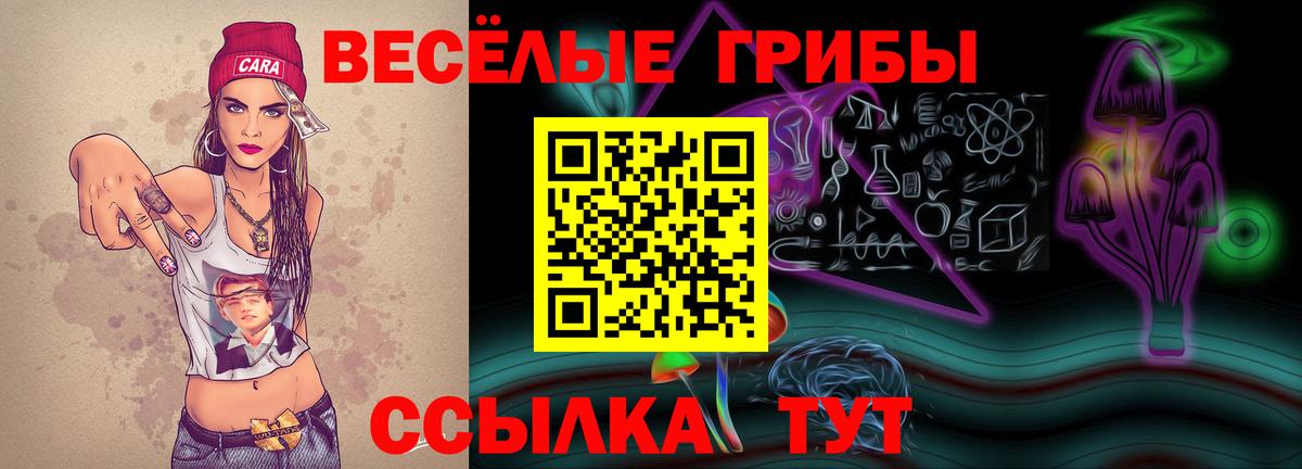 Псилоцибиновые грибы ЛСД Котельники